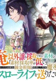 俺以外誰も採取できない素材なのに「素材採取率が低い」とパワハラする幼馴染錬金術師と絶縁した専属魔導士、辺境の町でスローライフを送りたい。