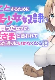 えろいことするために巨乳美少女奴隷を買ったはずが、お師匠さまと慕われて思った通りにいかなくなる話