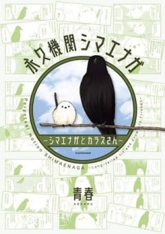 シマエナガとカラスさん