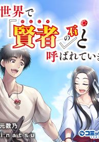 異世界で『賢者……の石』と呼ばれています